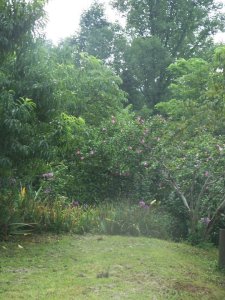 185258_1990192113426_1066432_n