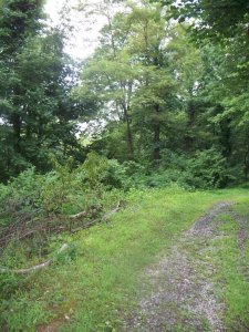 253313_1990192593438_6358565_n