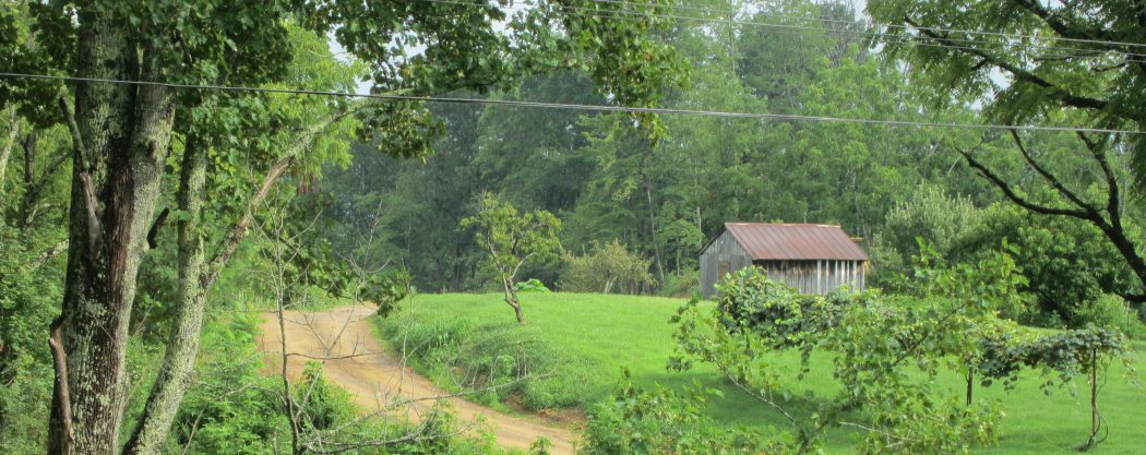 Pruett Deskins Family Archive